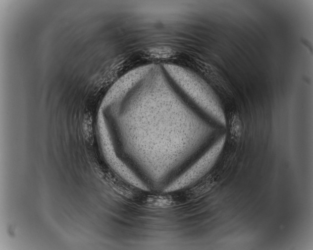 X0000100860559200807111256