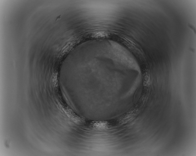 X0000100860560200807111256