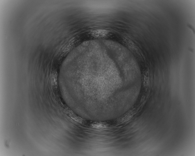 X0000100860561200807111256