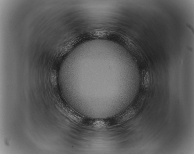 X0000100860562200807111256