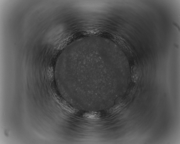 X0000100860563200807111256