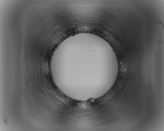 X0000100860564200807111256