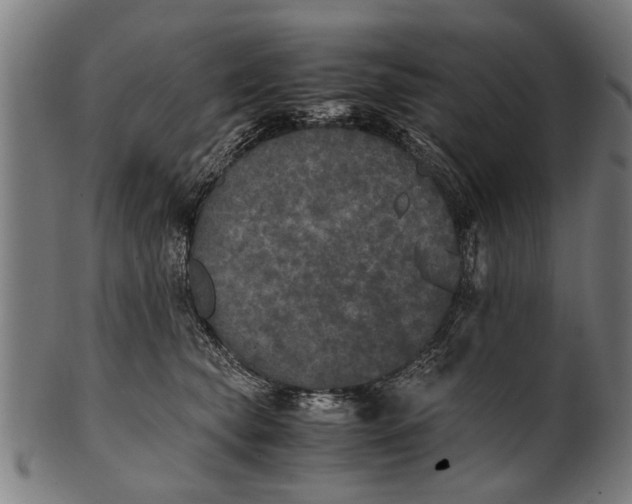 X0000100860565200807111256