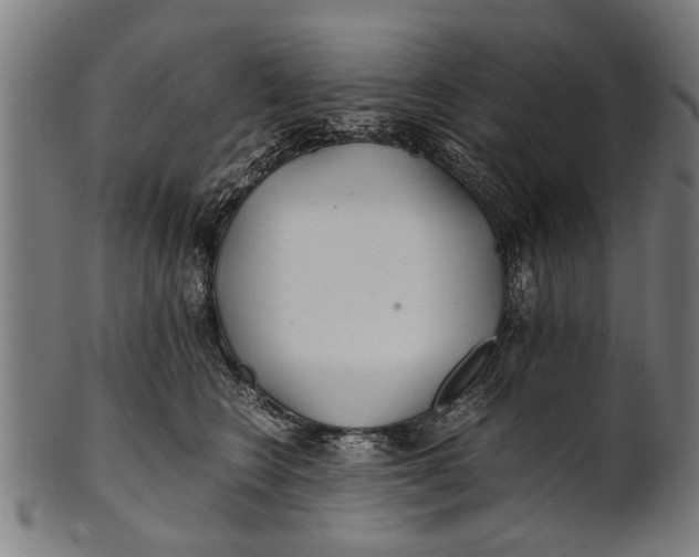 X0000100860566200807111256