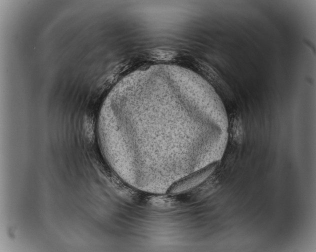 X0000100860568200807111256