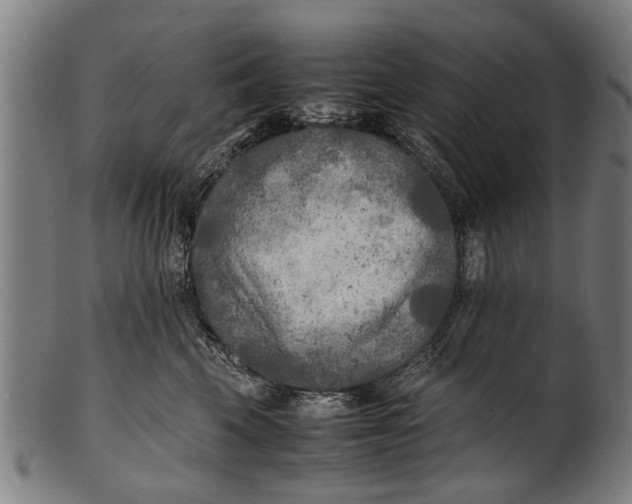 X0000100860569200807111256