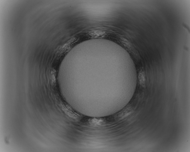 X0000100860570200807111256