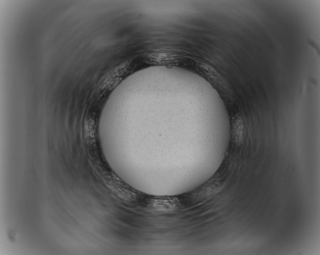 X0000100860571200807111256