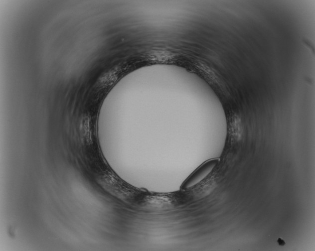 X0000100860572200807111256