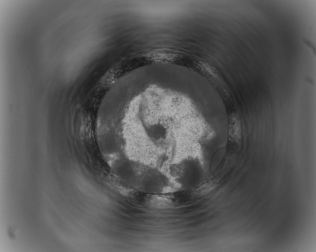 X0000100860573200807111256