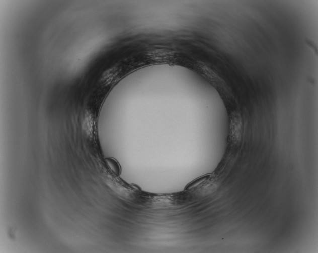 X0000100860574200807111256