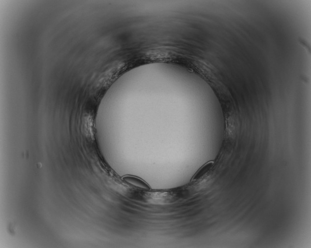 X0000100860575200807111256