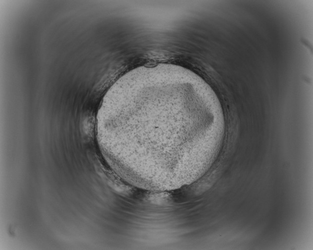 X0000100860576200807111256