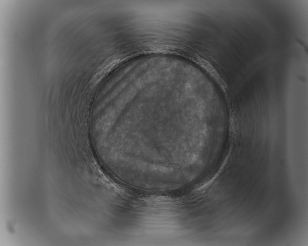 X0000100860577200807111255