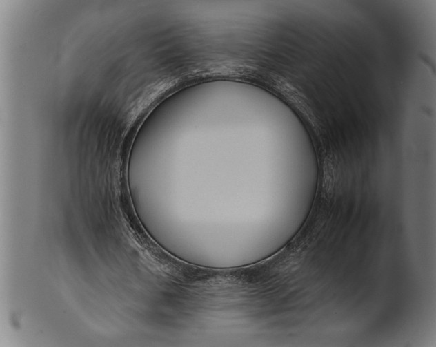 X0000100860578200807111255