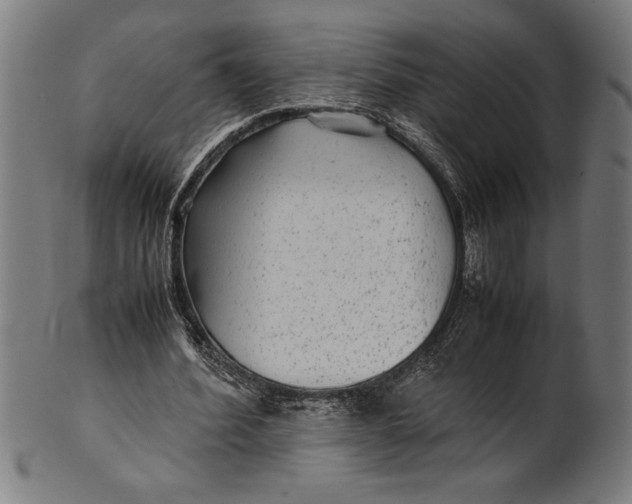 X0000100860580200807111255