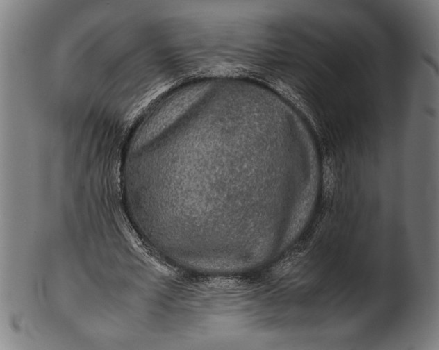 X0000100860581200807111255