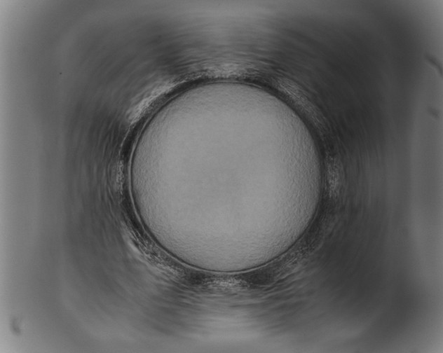 X0000100860583200807111255