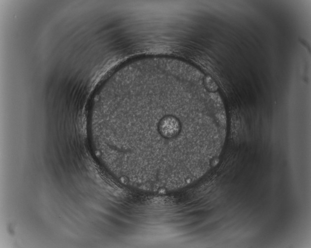 X0000100860584200807111255