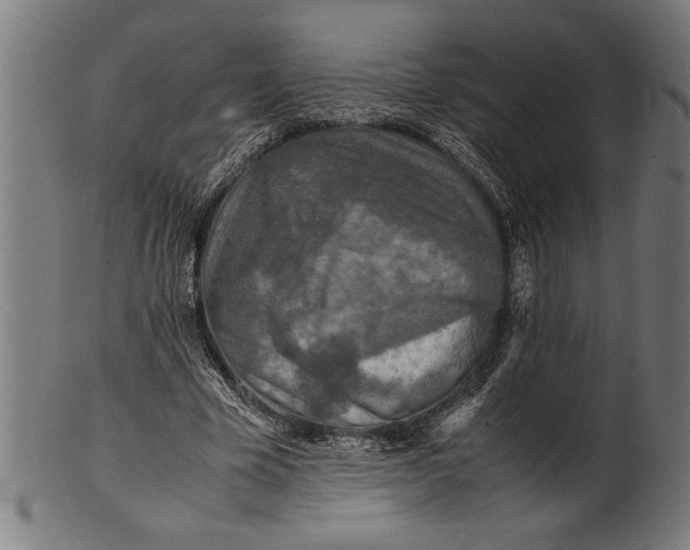 X0000100860585200807111255