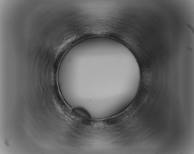 X0000100860587200807111255