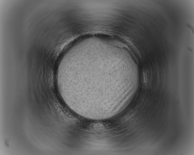 X0000100860588200807111255