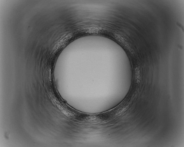 X0000100860589200807111255