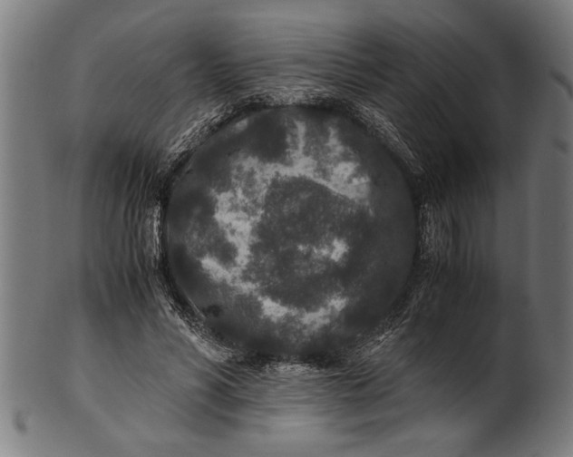 X0000100860590200807111255