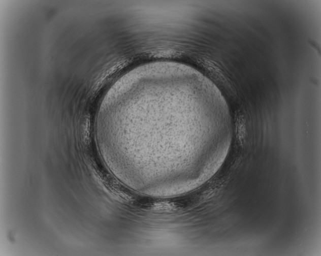 X0000100860591200807111255