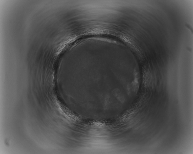 X0000100860592200807111255