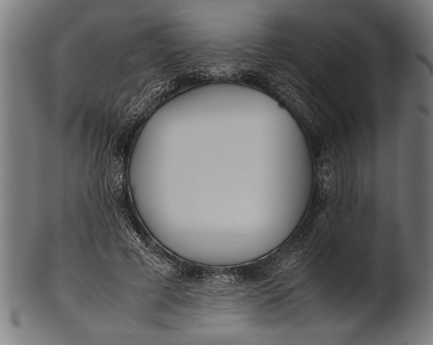 X0000100860593200807111255