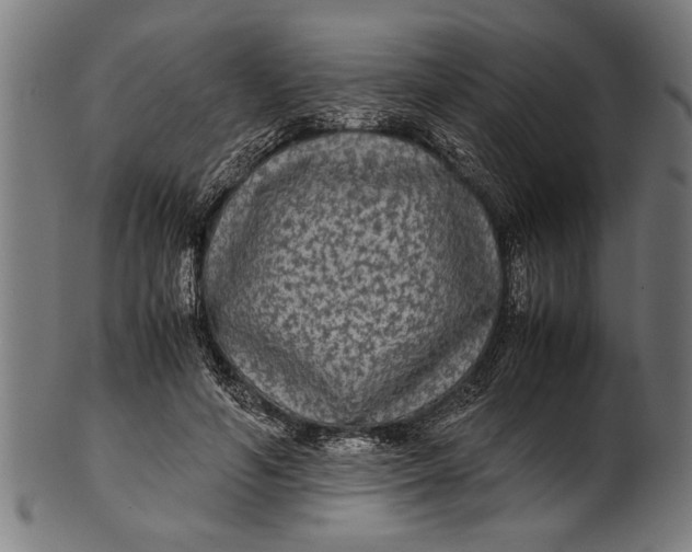 X0000100860594200807111255