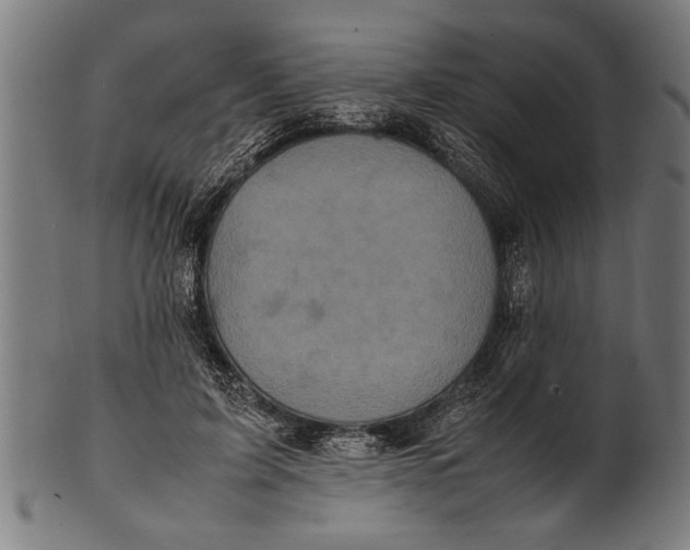 X0000100860595200807111255