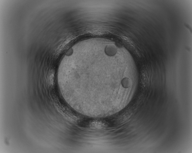 X0000100860596200807111255