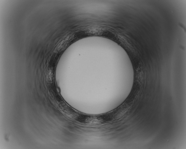 X0000100860597200807111255