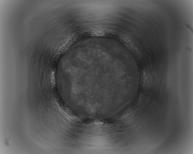 X0000100860598200807111255