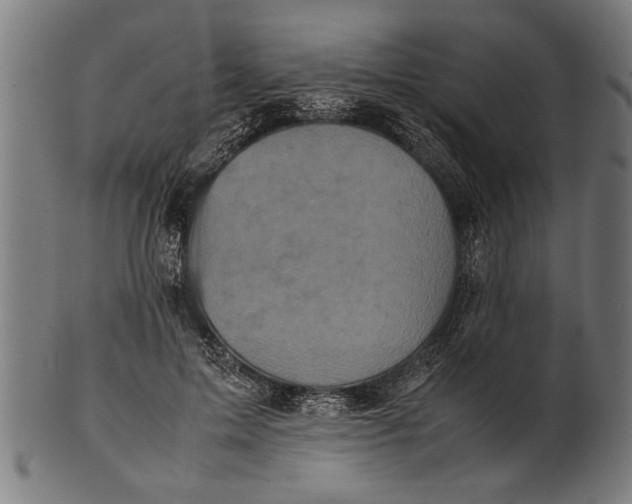 X0000100860599200807111255