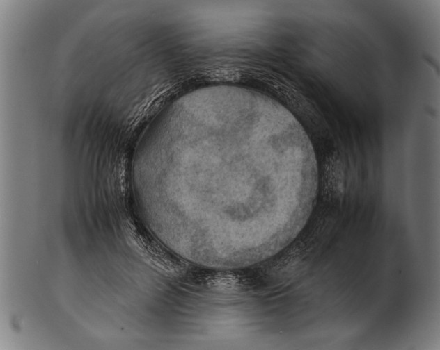 X0000100860600200807111255