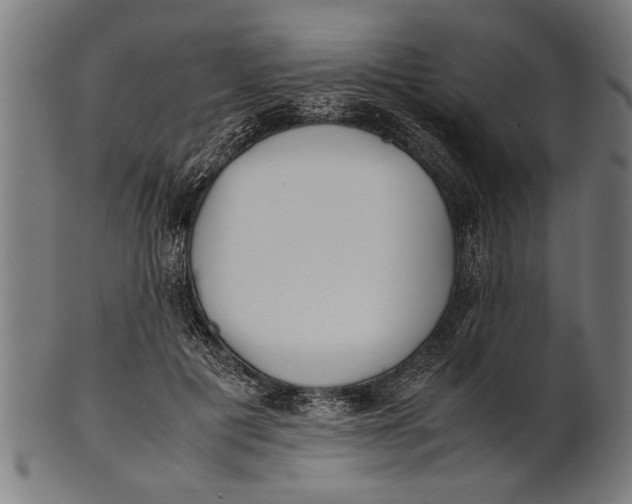 X0000100860601200807111255