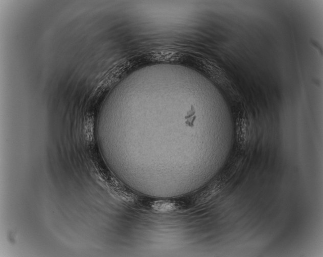 X0000100860602200807111255