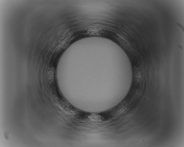 X0000100860603200807111255