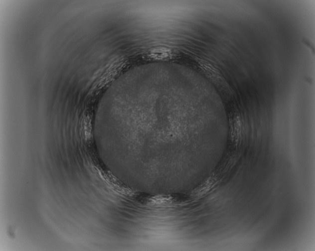 X0000100860606200807111255