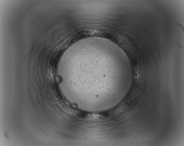 X0000100860607200807111255