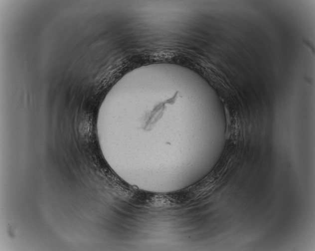 X0000100860608200807111255