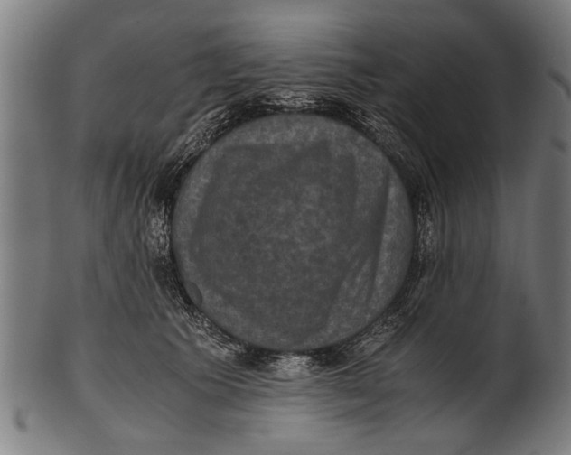 X0000100860609200807111255