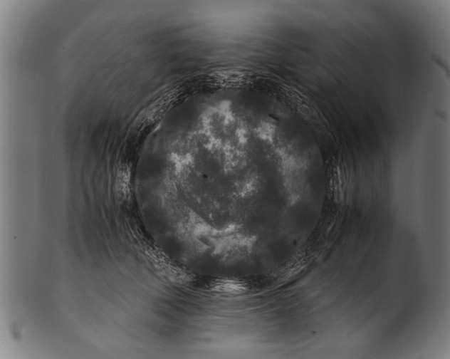 X0000100860610200807111255