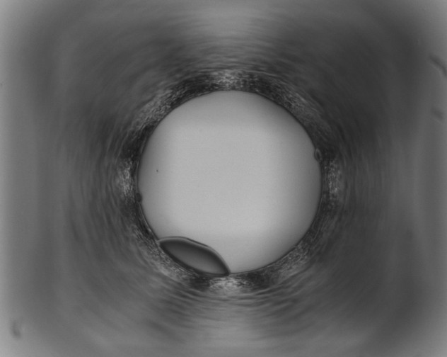 X0000100860611200807111255