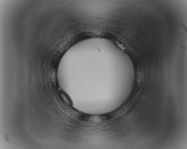 X0000100860613200807111255