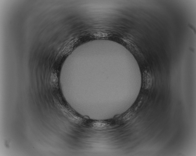 X0000100860614200807111255