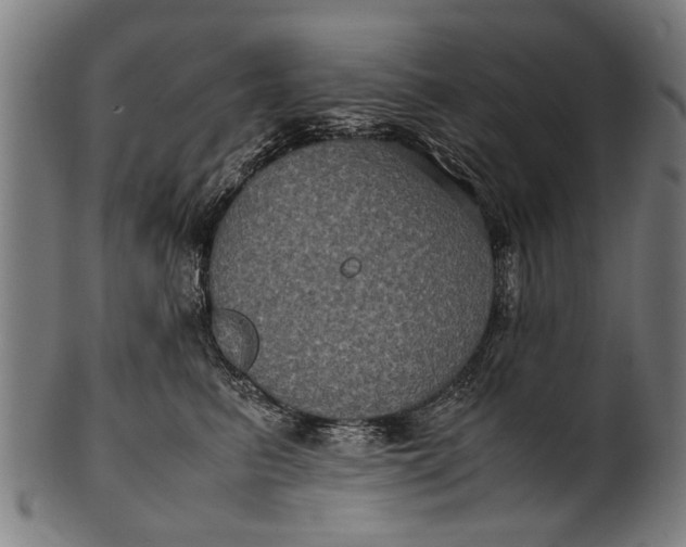 X0000100860615200807111255